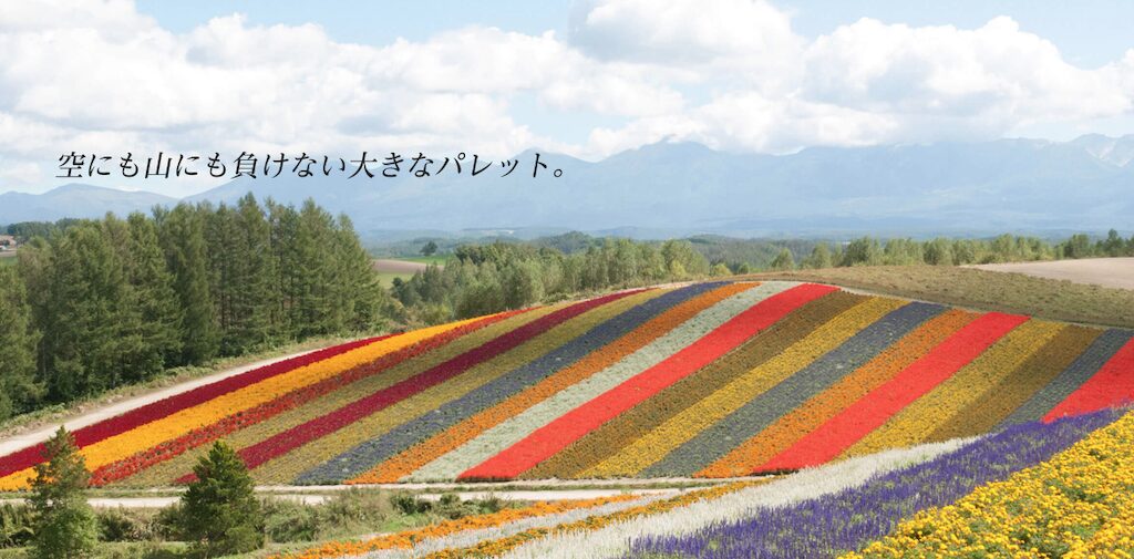 四季彩の丘（美瑛）｜色鮮やかな花畑と美瑛の雄大な景色